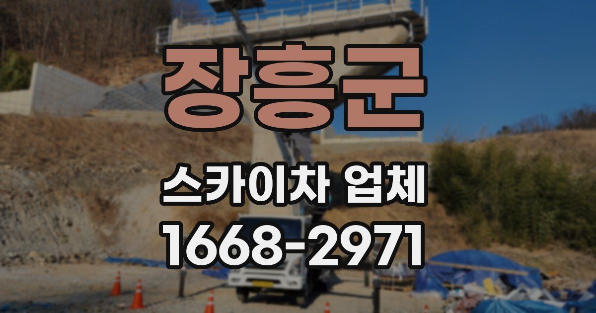 장흥군 스카이차 업체
