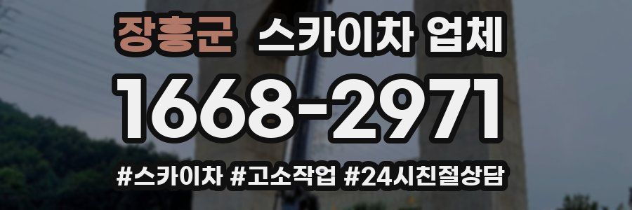 장흥군 스카이차 업체