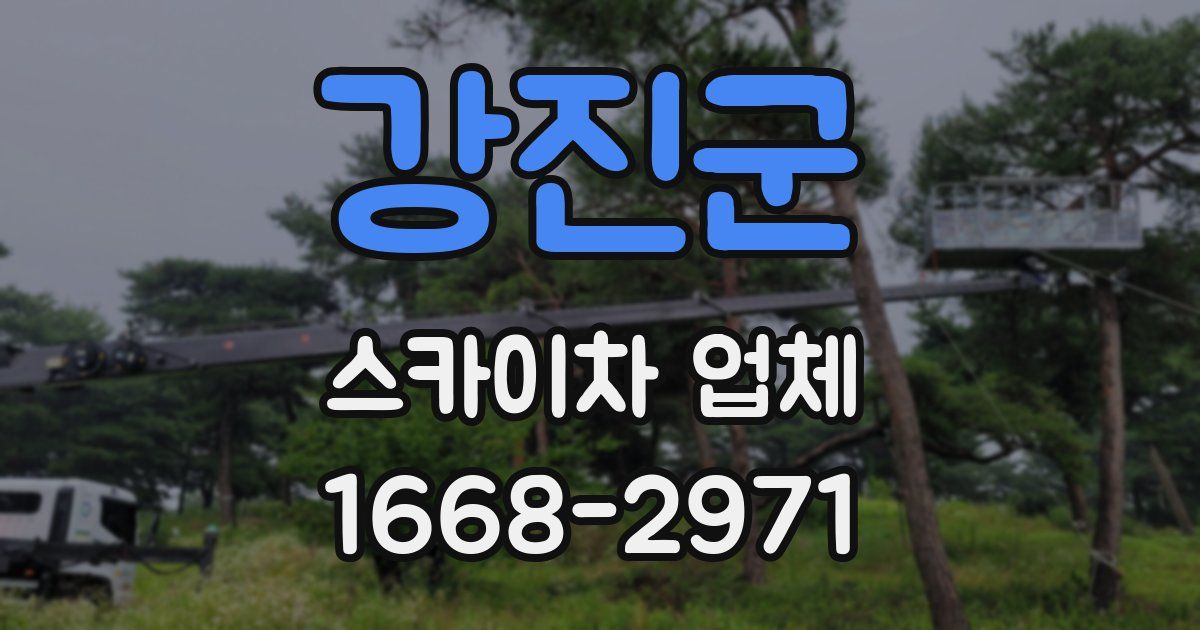 강진군 스카이차 업체