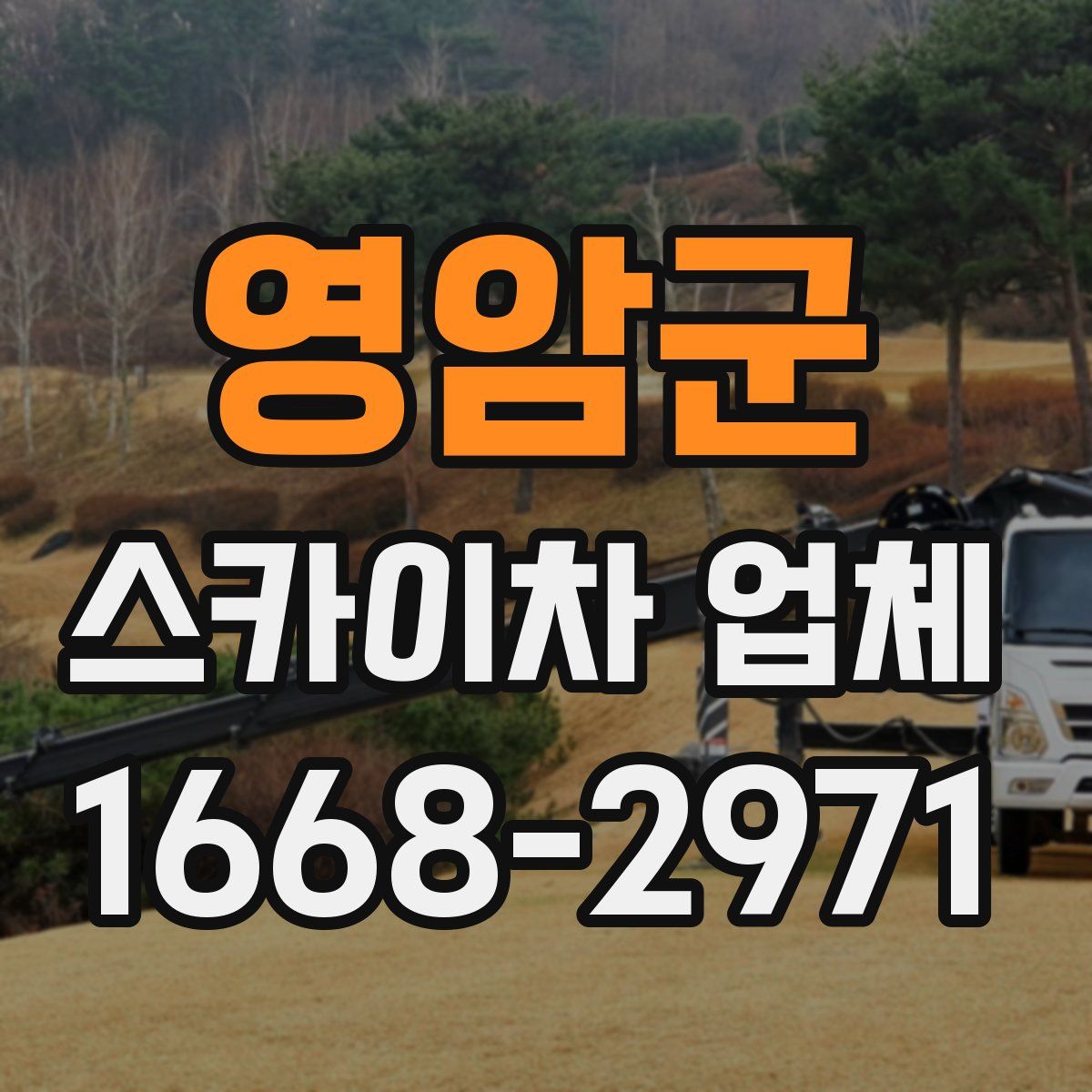 영암군 스카이차 업체
