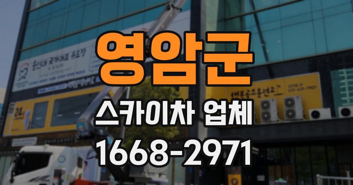 영암군 스카이차 업체