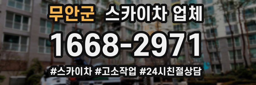 무안군 스카이차 업체