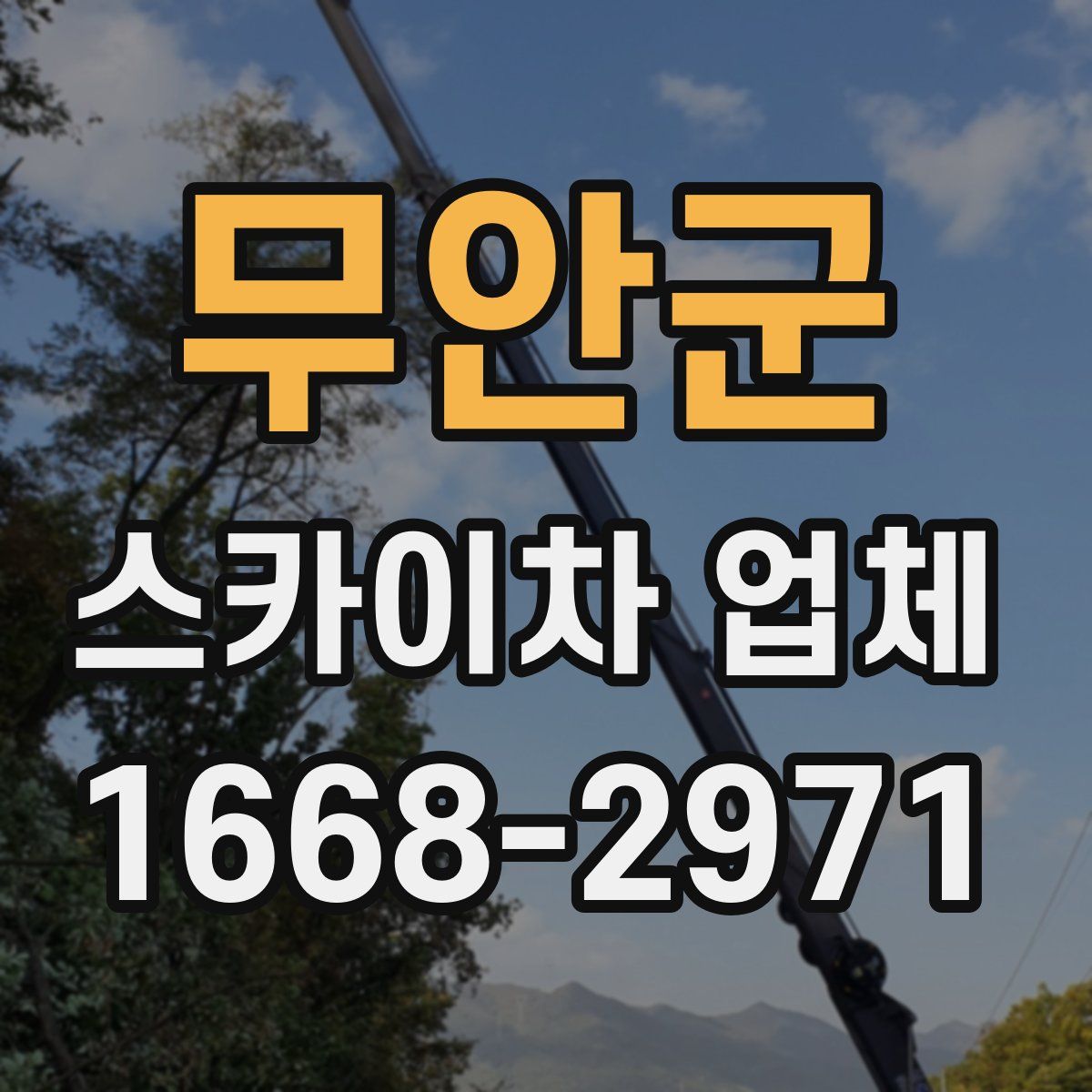 무안군 스카이차 업체