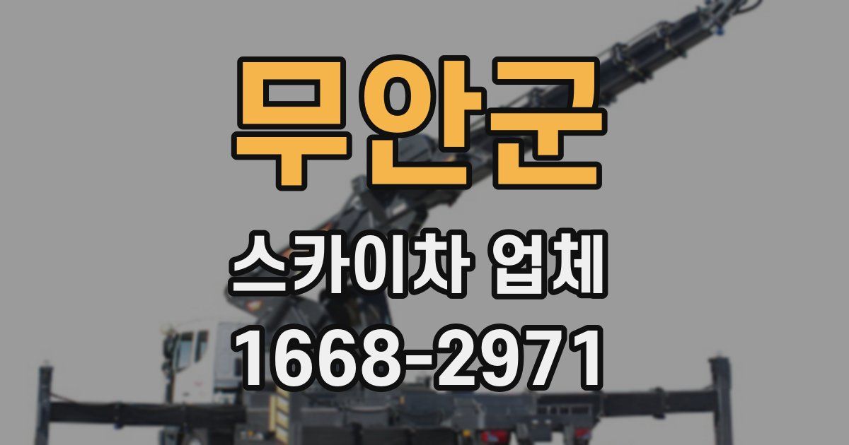 무안군 스카이차 업체