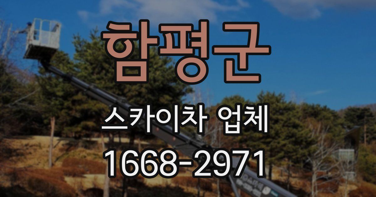 함평군 스카이차 업체