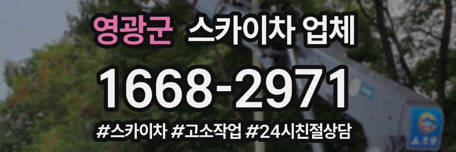 영광군 스카이차 업체