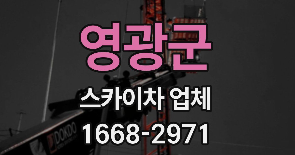 영광군 스카이차 업체