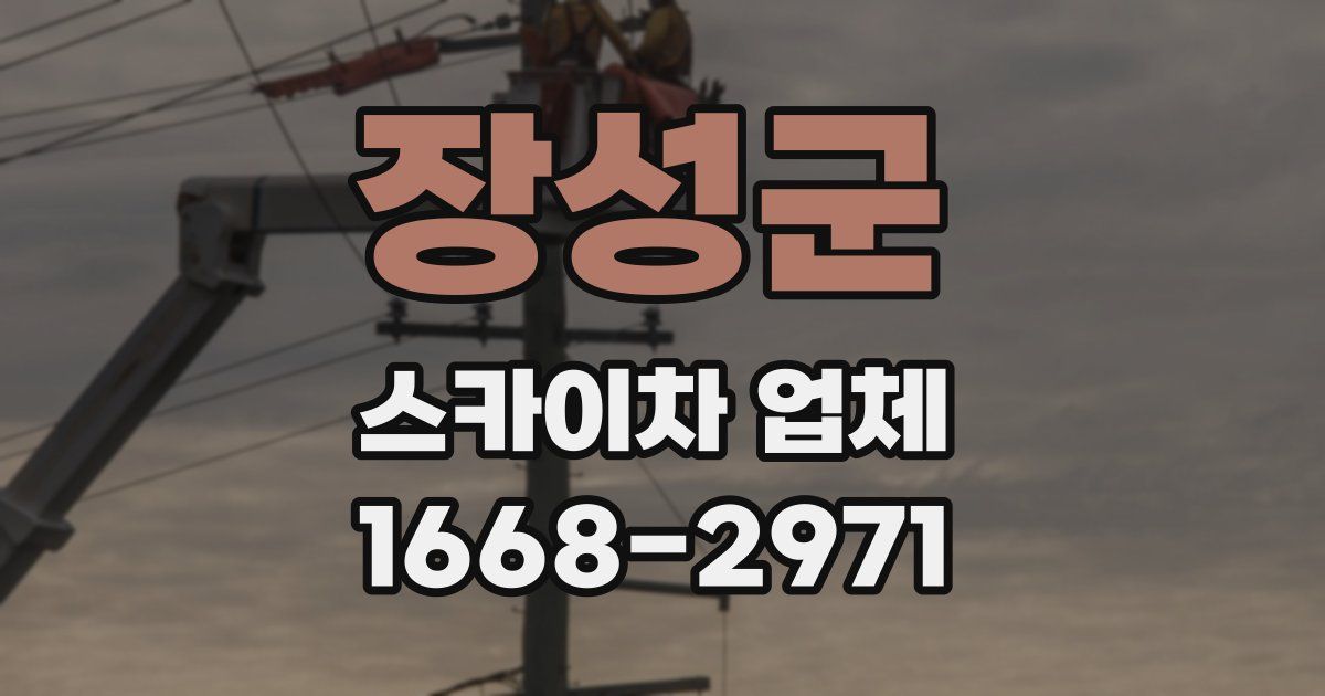 장성군 스카이차 업체