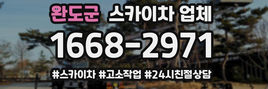 완도군 스카이차 업체