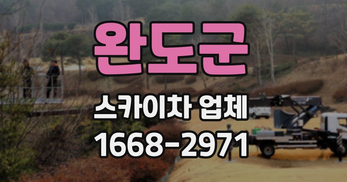 완도군 스카이차 업체