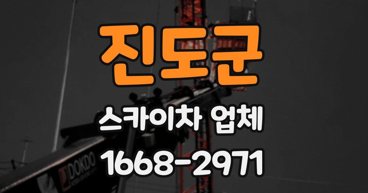 진도군 스카이차 업체