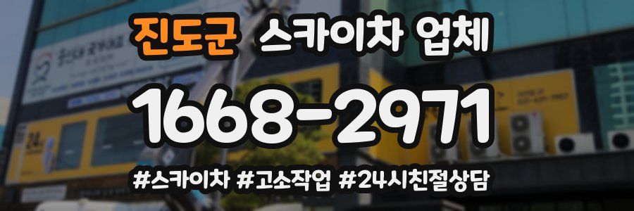 진도군 스카이차 업체