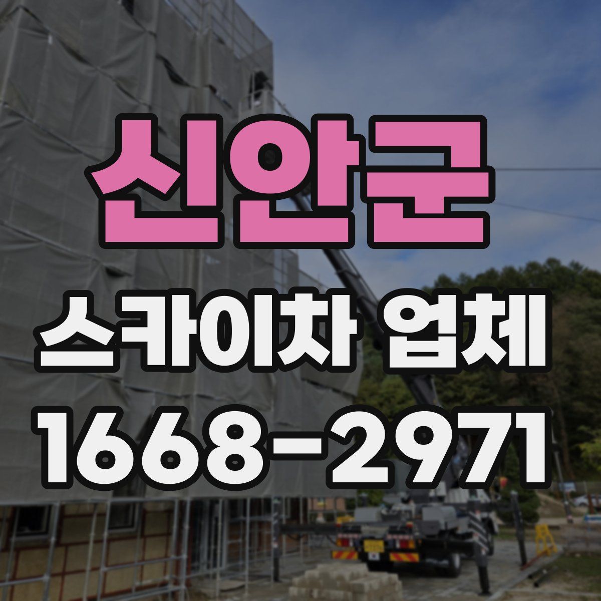 신안군 스카이차 업체
