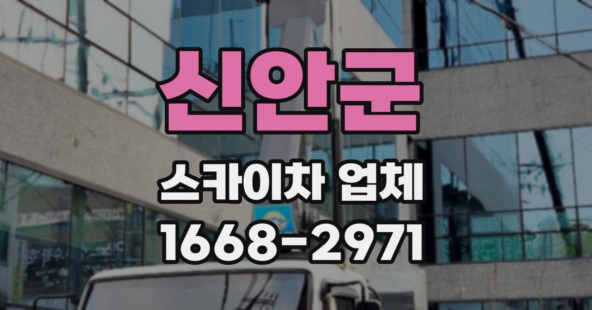 신안군 스카이차 업체
