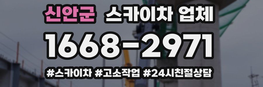 신안군 스카이차 업체