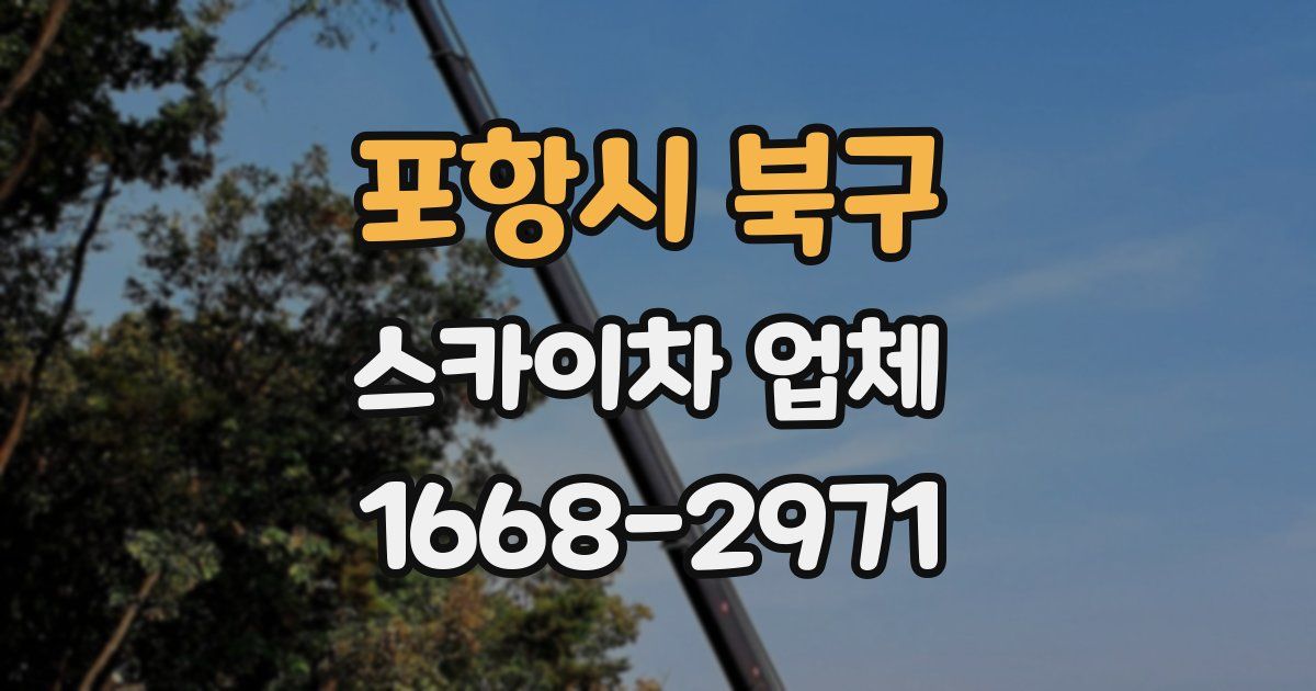 포항시 북구 스카이차 업체