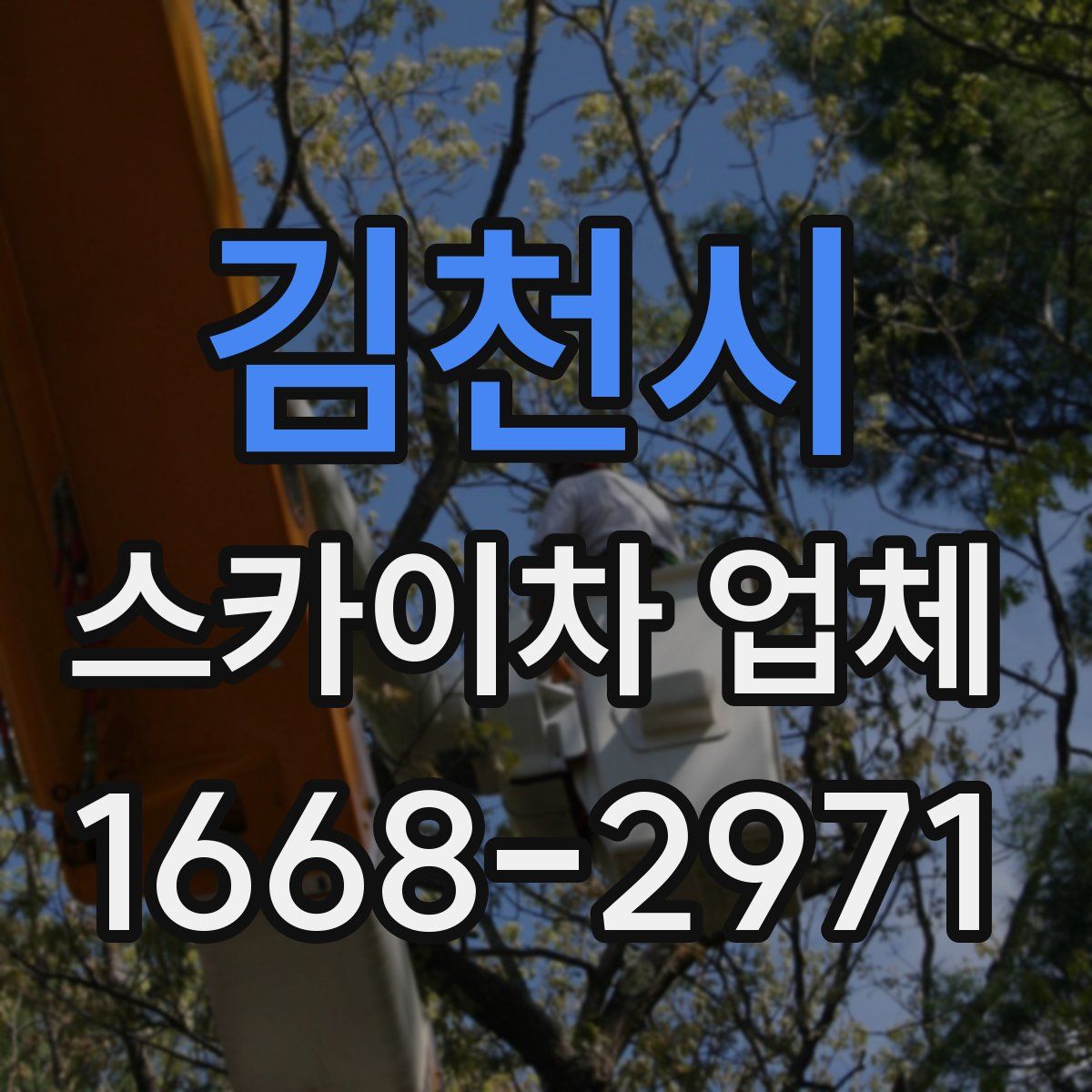 김천시 스카이차 업체