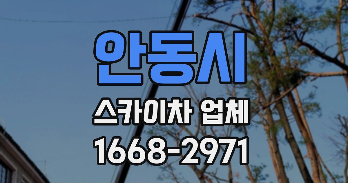 안동시 스카이차 업체