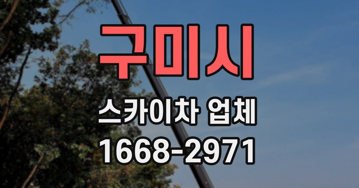 구미시 스카이차 업체