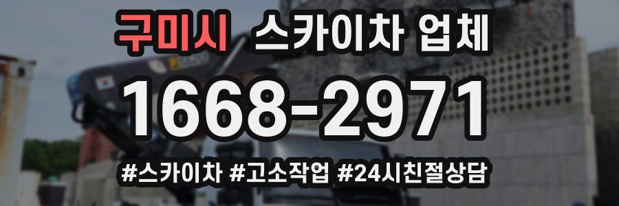 구미시 스카이차 업체
