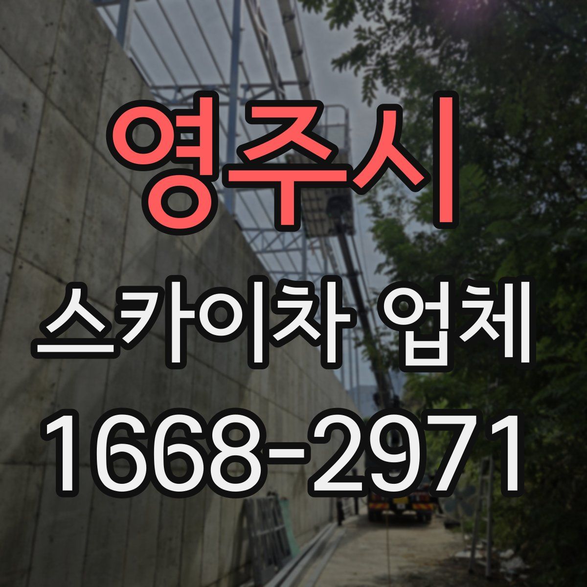 영주시 스카이차 업체