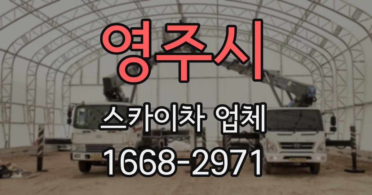 영주시 스카이차 업체