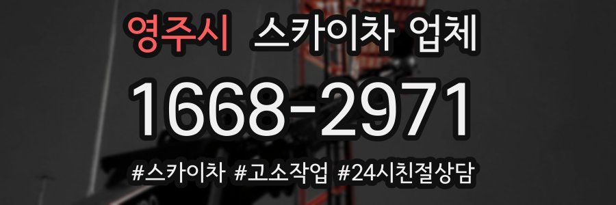 영주시 스카이차 업체