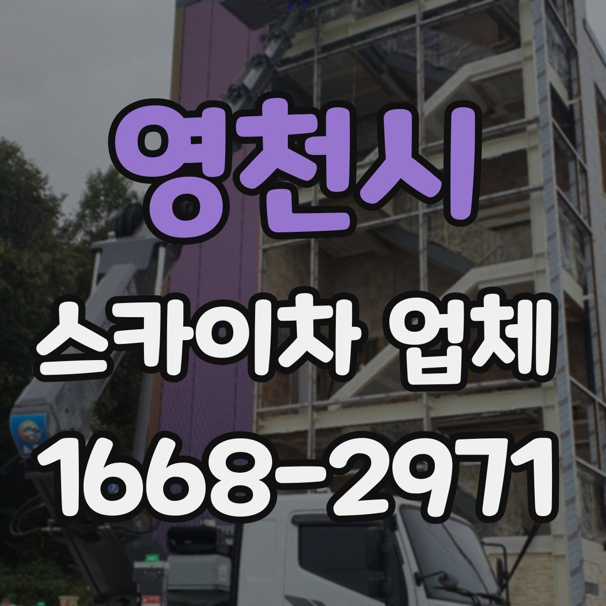 영천시 스카이차 업체