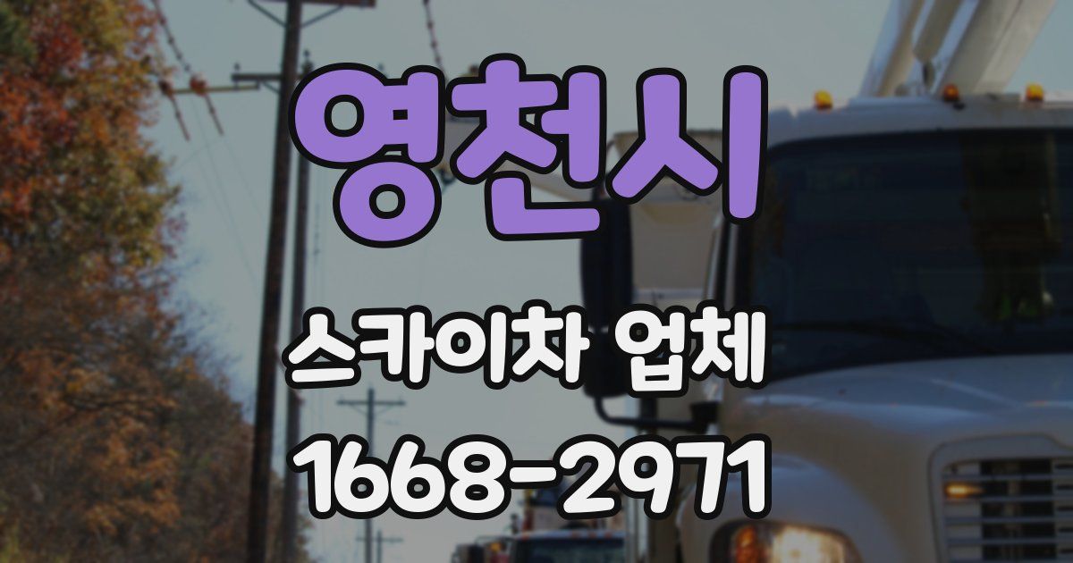영천시 스카이차 업체