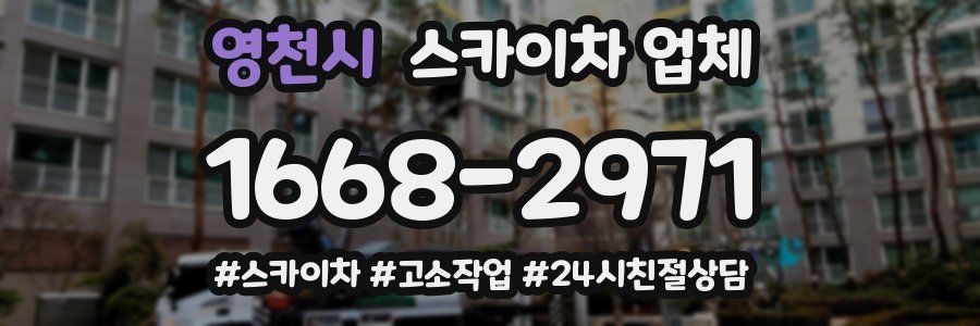 영천시 스카이차 업체