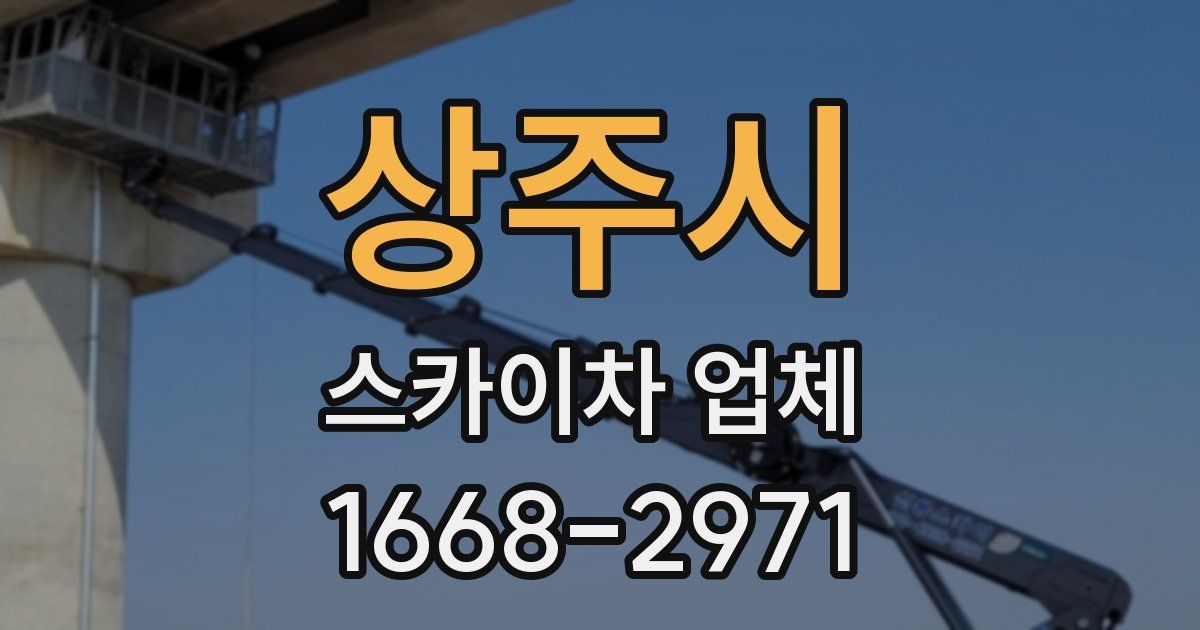 상주시 스카이차 업체