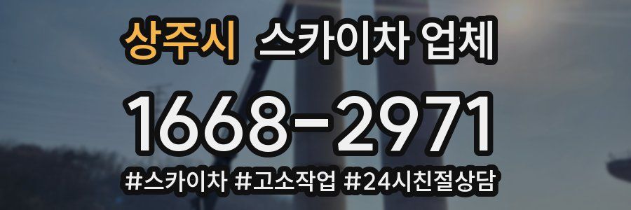 상주시 스카이차 업체