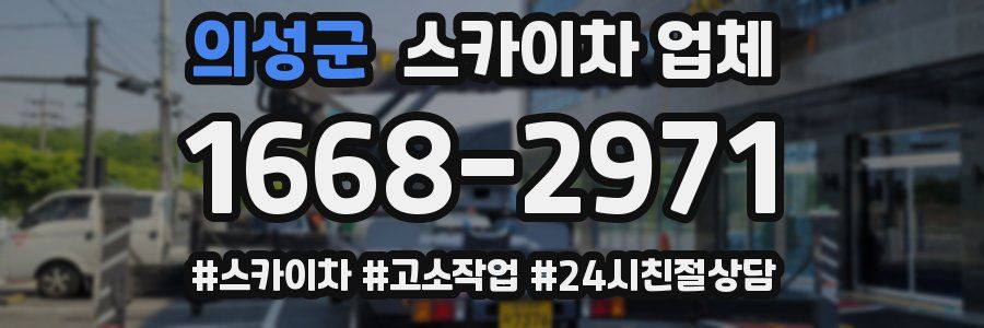 의성군 스카이차 업체