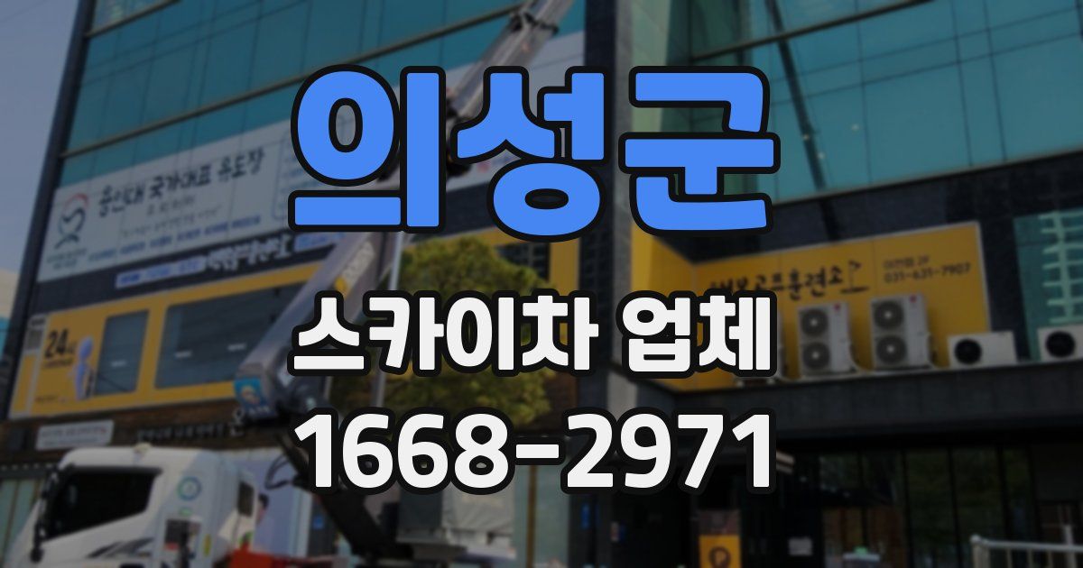 의성군 스카이차 업체