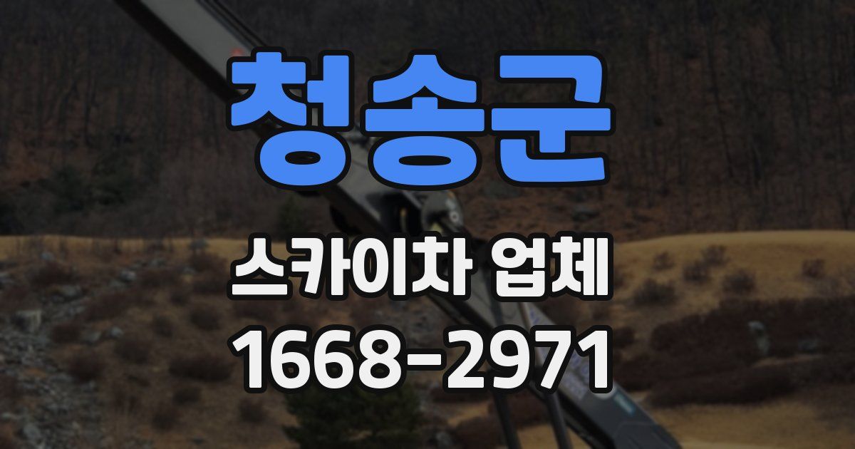 청송군 스카이차 업체