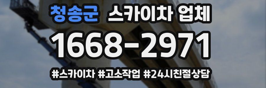 청송군 스카이차 업체