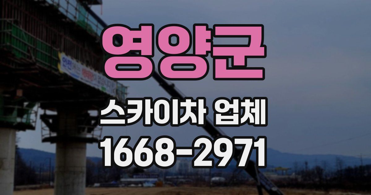 영양군 스카이차 업체