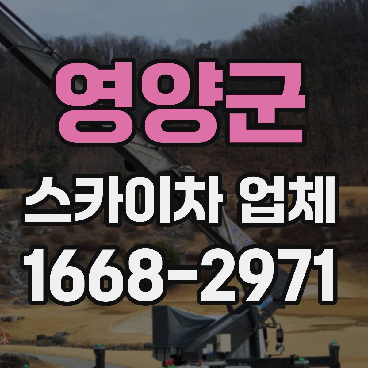 영양군 스카이차 업체