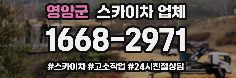 영양군 스카이차 업체