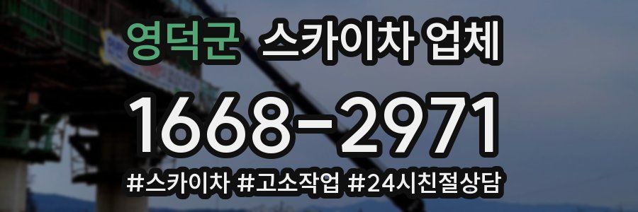 영덕군 스카이차 업체