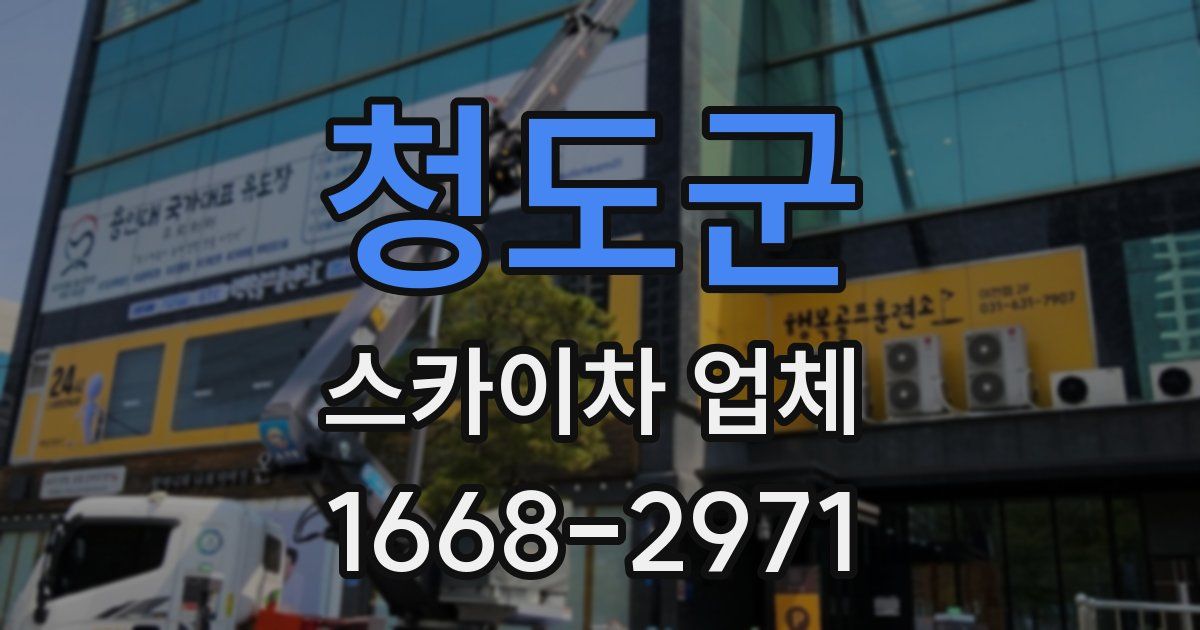 청도군 스카이차 업체