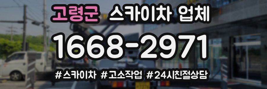 고령군 스카이차 업체