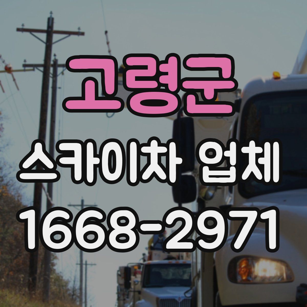 고령군 스카이차 업체