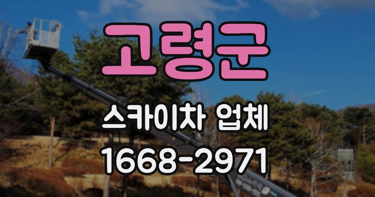 고령군 스카이차 업체