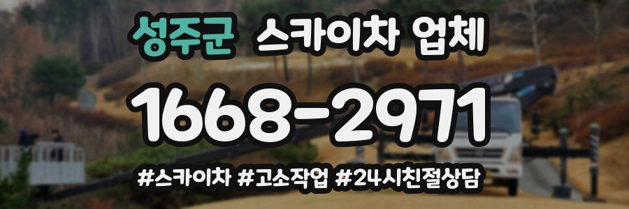 성주군 스카이차 업체