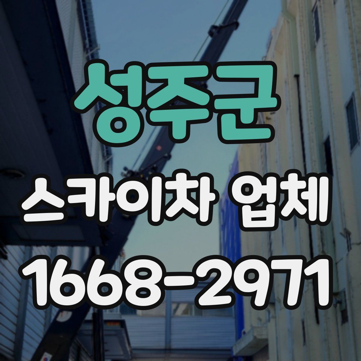 성주군 스카이차 업체