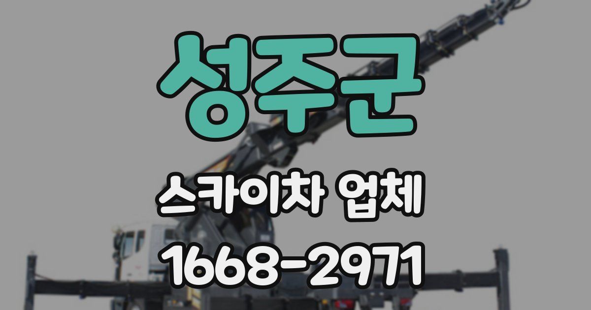 성주군 스카이차 업체