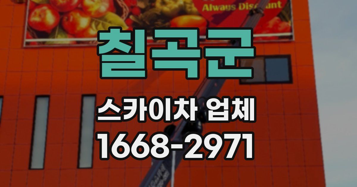 칠곡군 스카이차 업체
