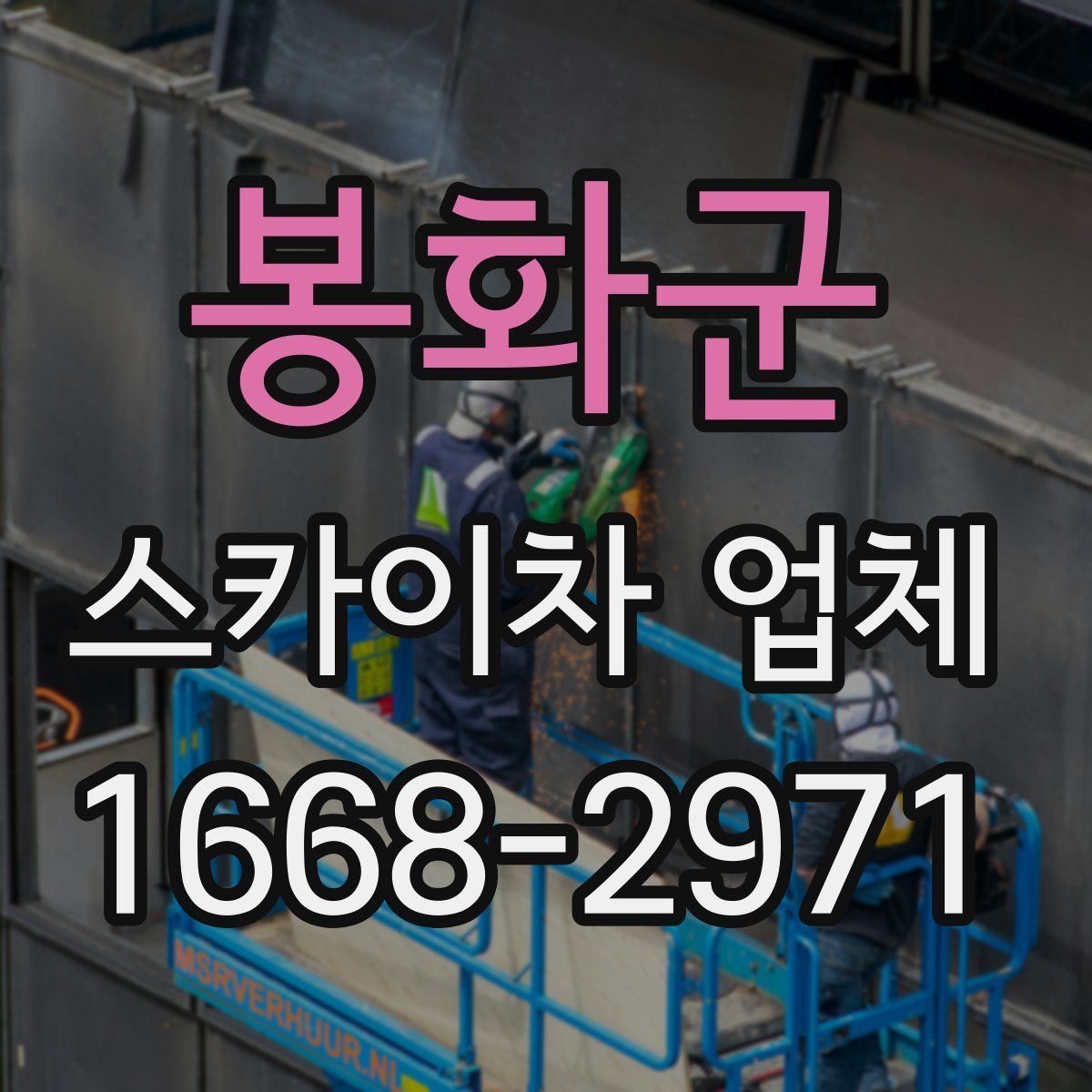봉화군 스카이차 업체