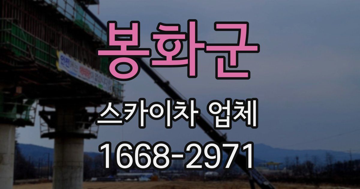 봉화군 스카이차 업체
